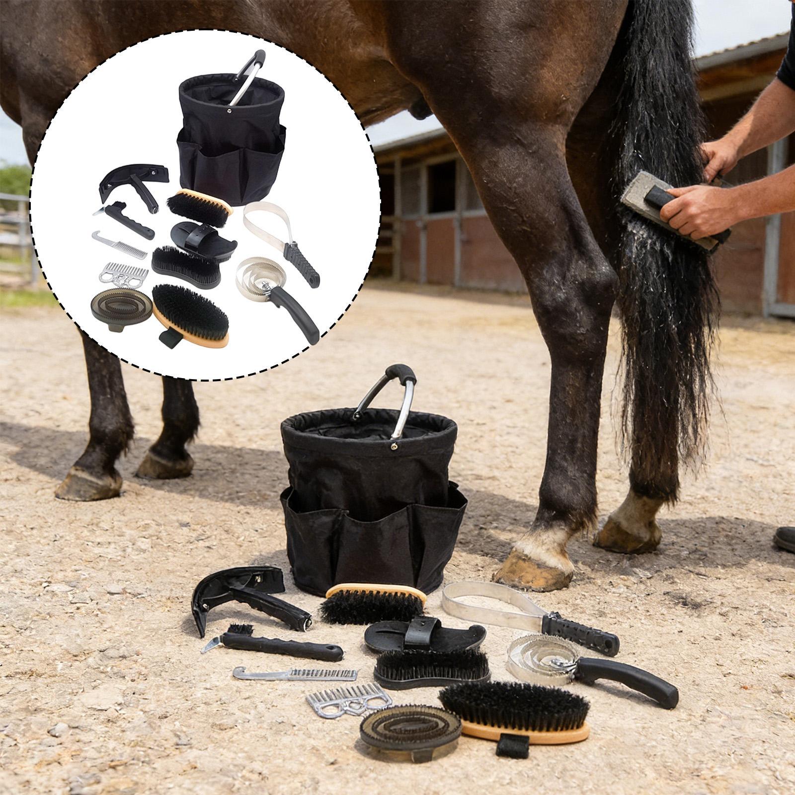 Kit Completo per la Cura del C - Grooming Kit Horse recensione e prezzo