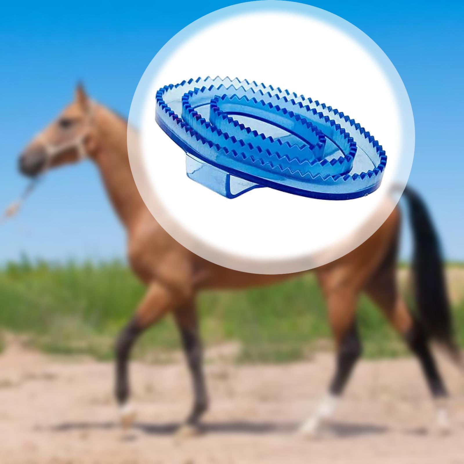 Spazzola per Massaggio e Puliz - Grooming Kit Horse recensione e prezzo