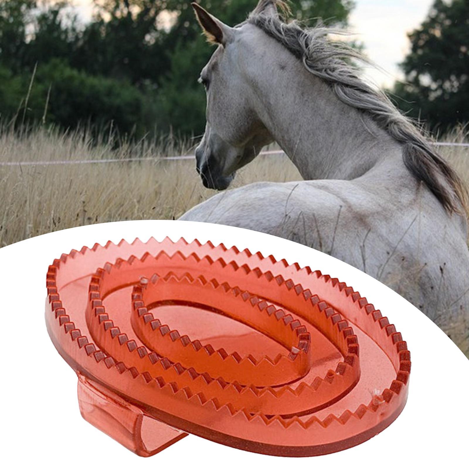 Spazzola per Massaggio e Puliz - Grooming Kit Horse recensione e prezzo