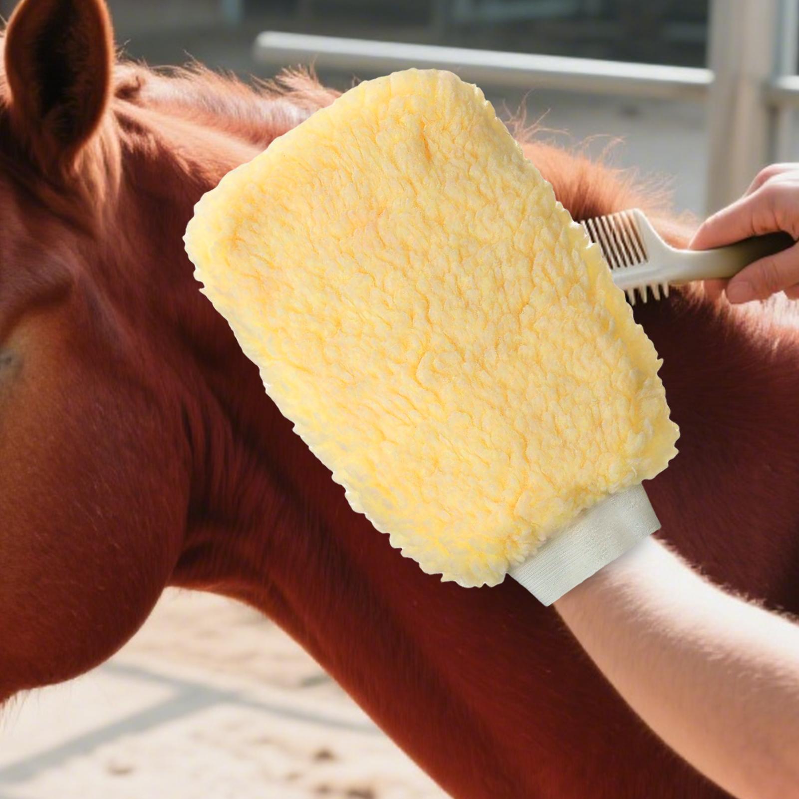 Guanto applicatore per guanti  - Grooming Kit Horse recensione e prezzo