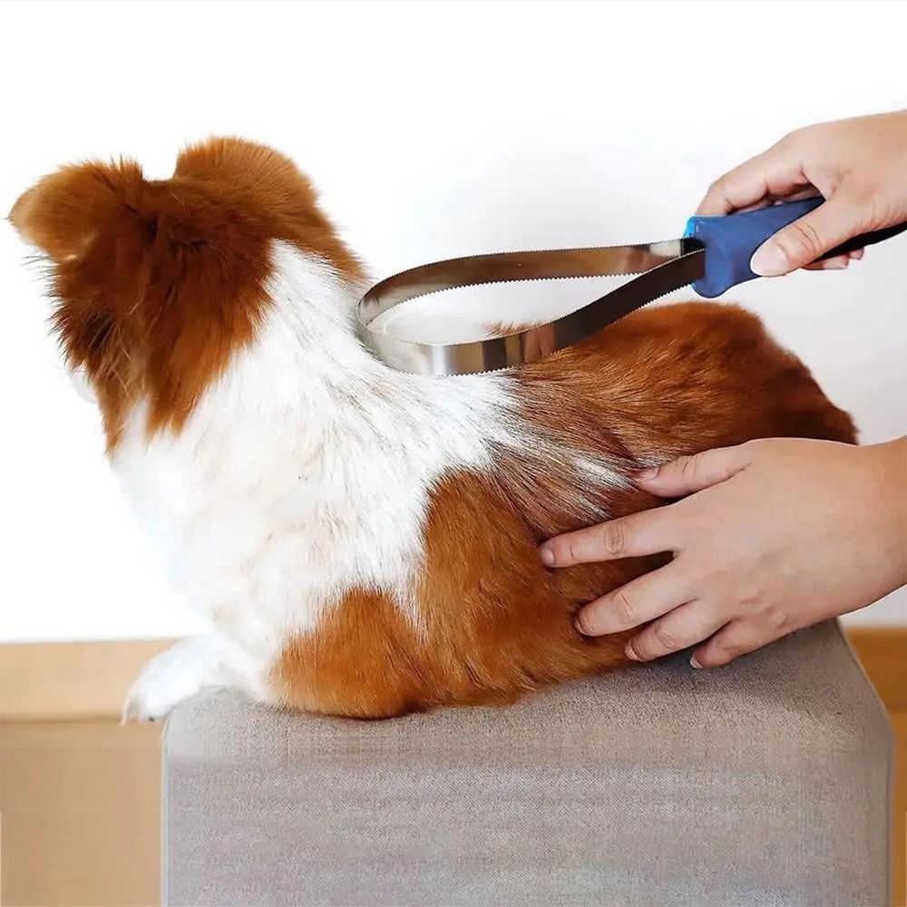 1 Pezzo Nuovo Pettine Antisciv - Grooming Kit Horse recensione e prezzo